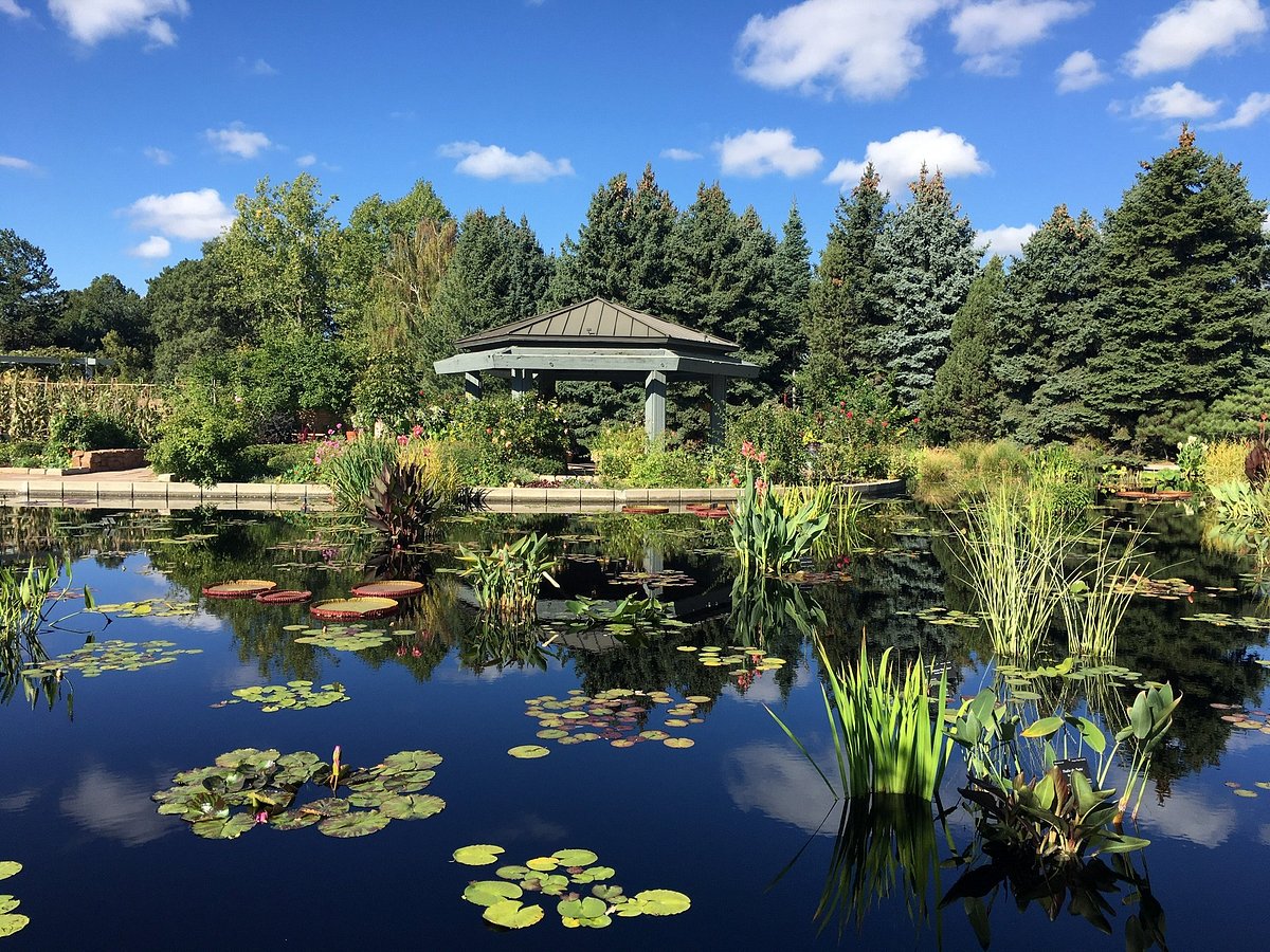Top 10 Things to Do in Denver, Colorado